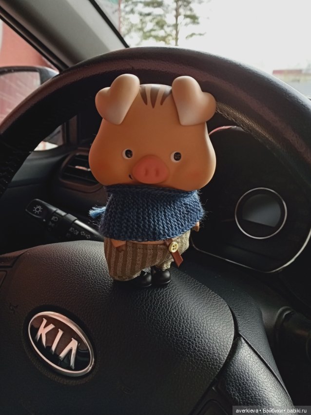 Проша, неугомонный поросенок (фото 3)