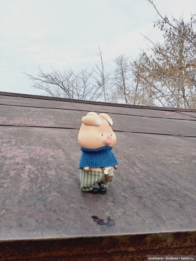 Проша, неугомонный поросенок