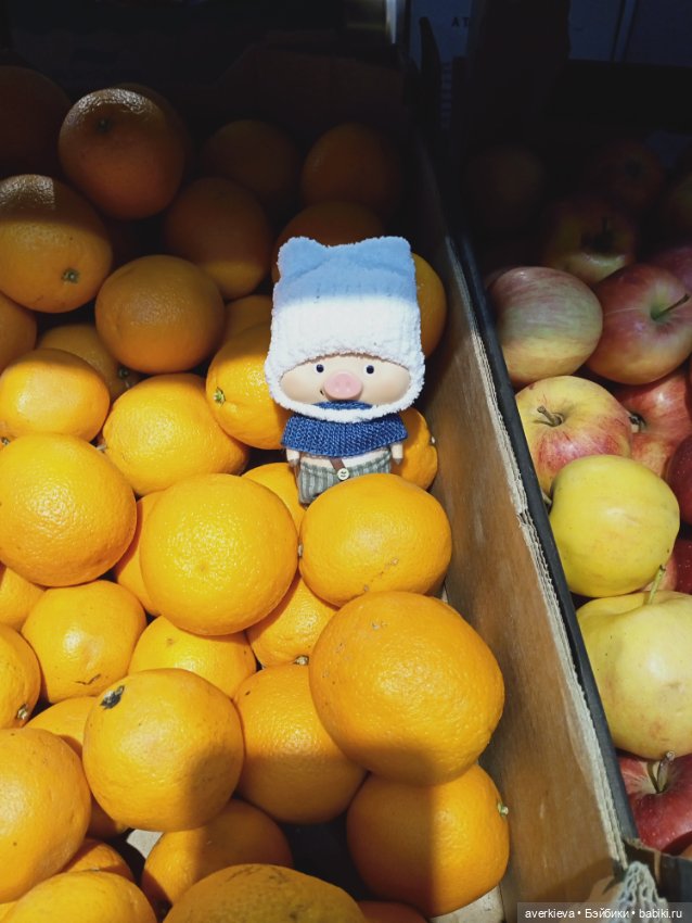 Проша, неугомонный поросенок (фото 7)