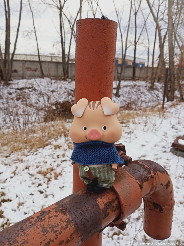 Проша, неугомонный поросенок (фото 10)