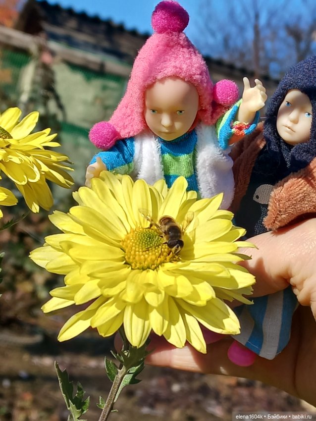 Как мы пчёлку ловили — Куклы Минимир (Minimir): Пупсы 7 и 11 см