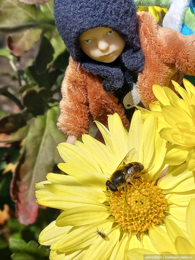 Как мы пчёлку ловили — Куклы Минимир (Minimir): Пупсы 7 и 11 см