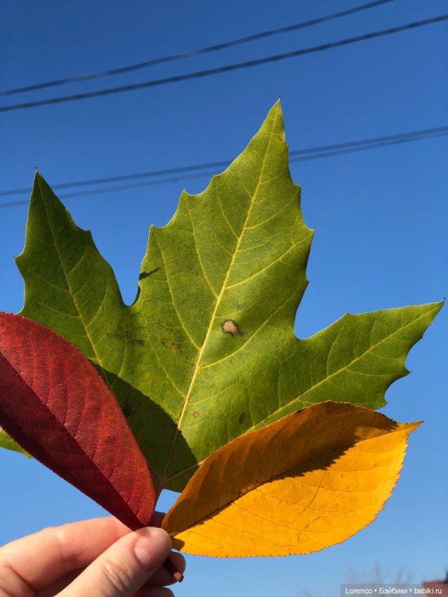 Идёт солдат по городу — Винтажные куклы ГДР (Немки): Бигги