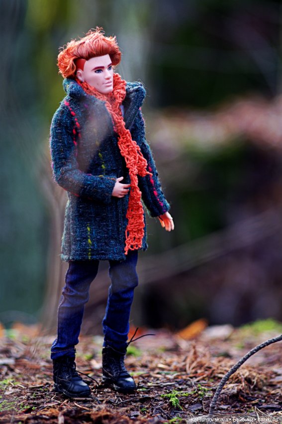 Ноябрь - Время Рыжих. Прогулка Лиса (фото 8)