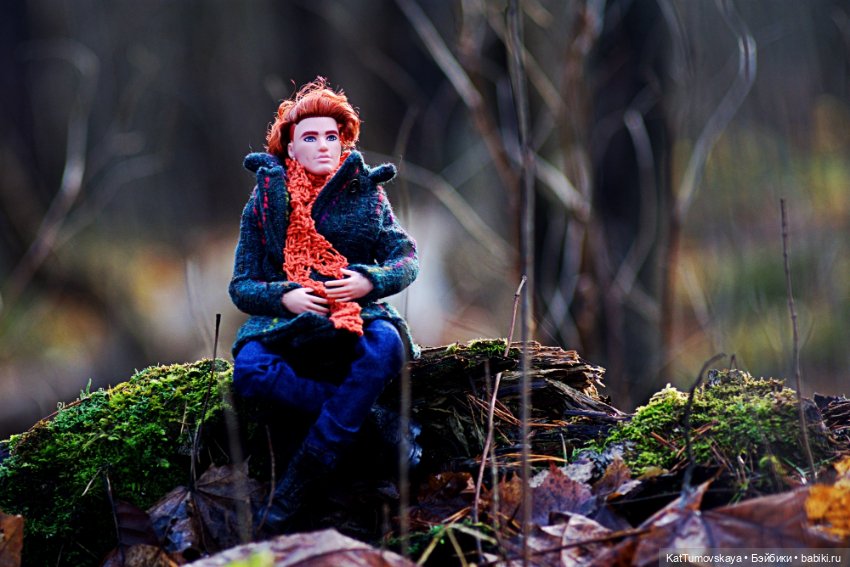 Ноябрь - Время Рыжих. Прогулка Лиса (фото 7)