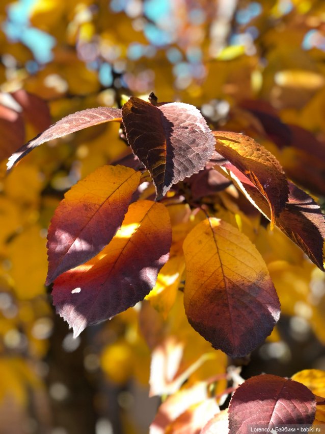 Идёт солдат по городу — Винтажные куклы ГДР (Немки): Бигги (фото 8)