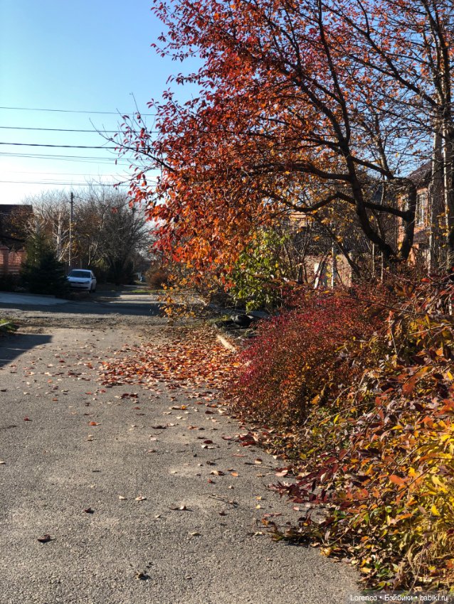 Идёт солдат по городу — Винтажные куклы ГДР (Немки): Бигги