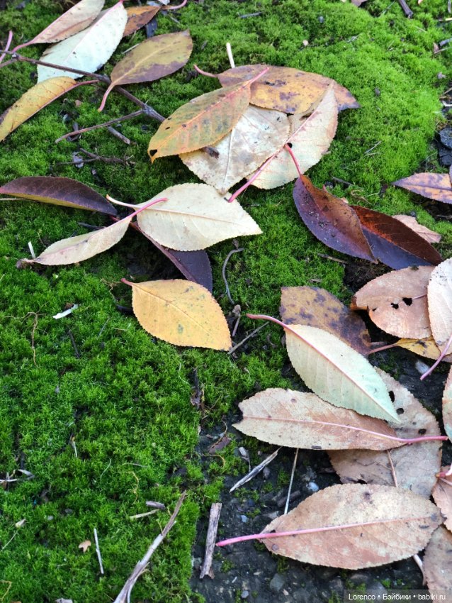 Идёт солдат по городу — Винтажные куклы ГДР (Немки): Бигги