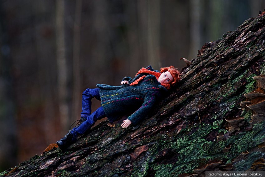 Ноябрь - Время Рыжих. Прогулка Лиса (фото 3)