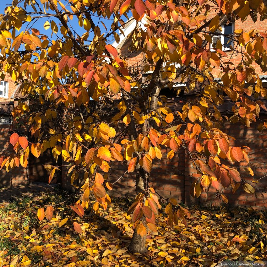 Идёт солдат по городу — Винтажные куклы ГДР (Немки): Бигги