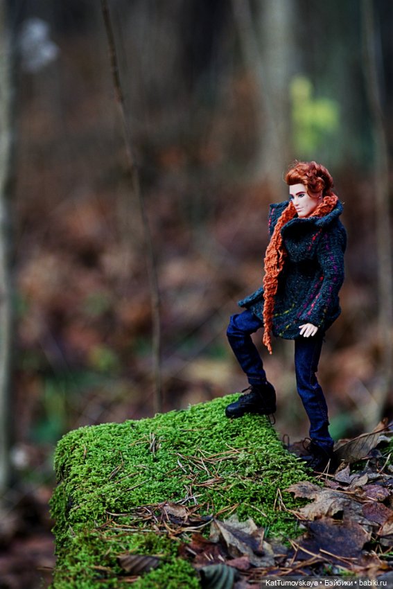 Ноябрь - Время Рыжих. Прогулка Лиса (фото 2)