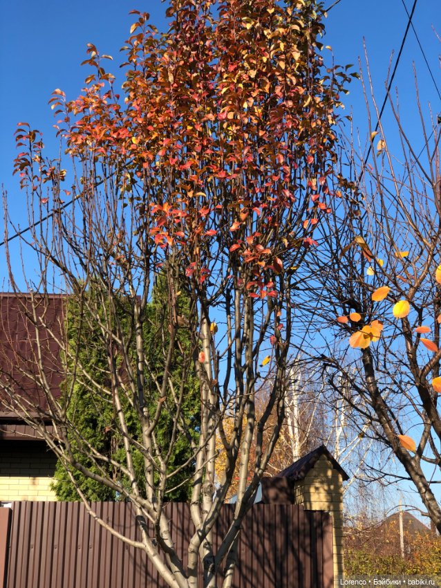 Идёт солдат по городу — Винтажные куклы ГДР (Немки): Бигги (фото 2)