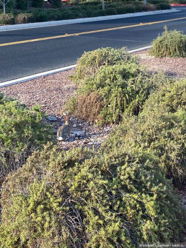 В воскресенье рано утром — Винтажные куклы ГДР (Немки): Бигги