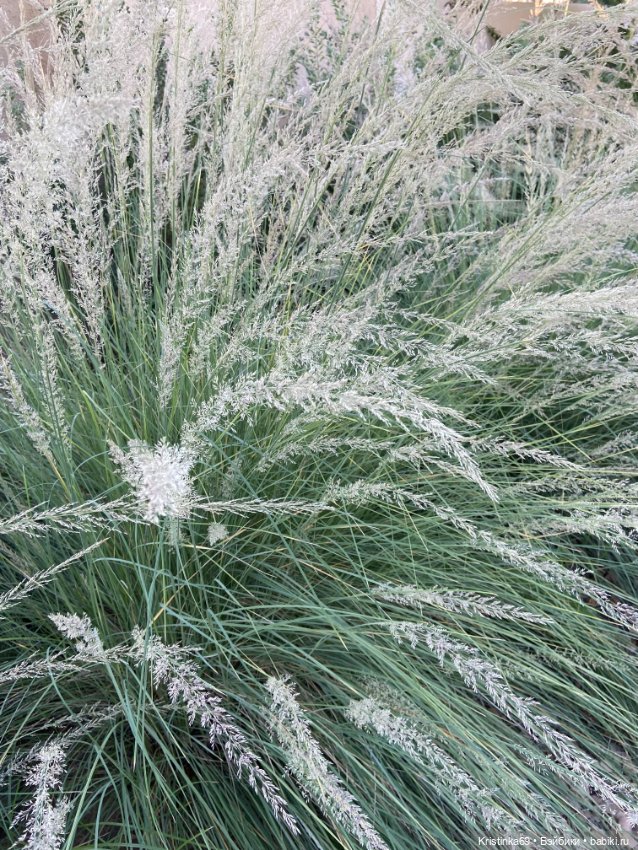 В воскресенье рано утром — Винтажные куклы ГДР (Немки): Бигги (фото 7)