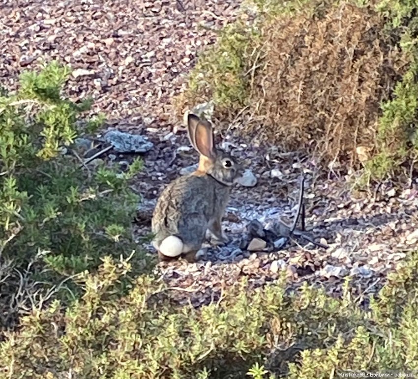 В воскресенье рано утром — Винтажные куклы ГДР (Немки): Бигги