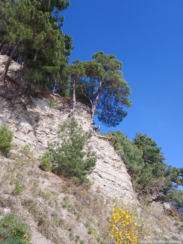 Осеннее путешествие к морю. Тата первый раз на море (фото 4)