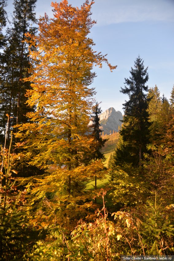 Осенние каникулы с куколкой Ruby Red