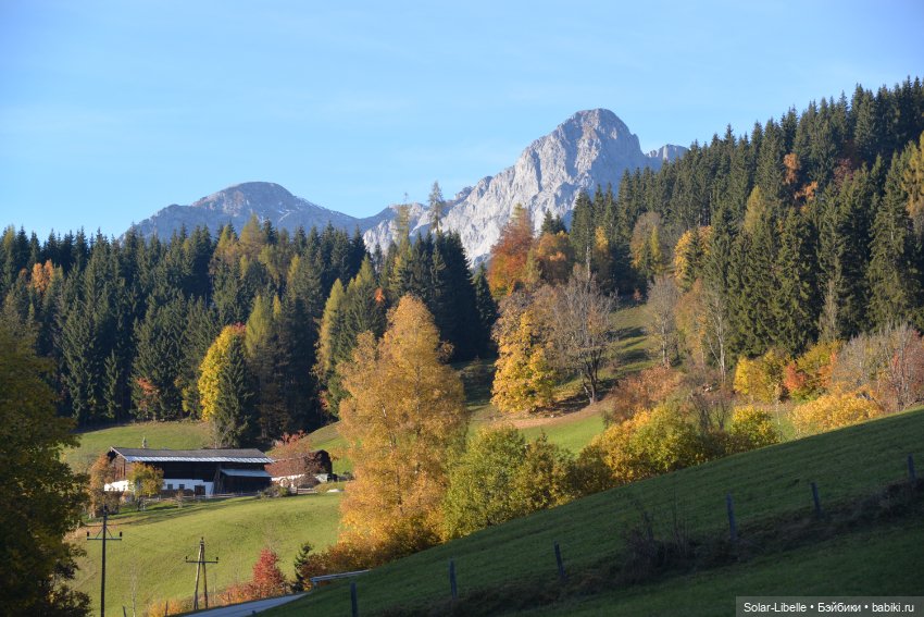 Осенние каникулы с куколкой Ruby Red