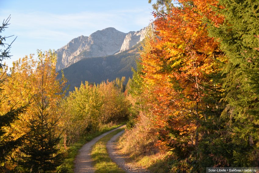 Осенние каникулы с куколкой Ruby Red (фото 5)
