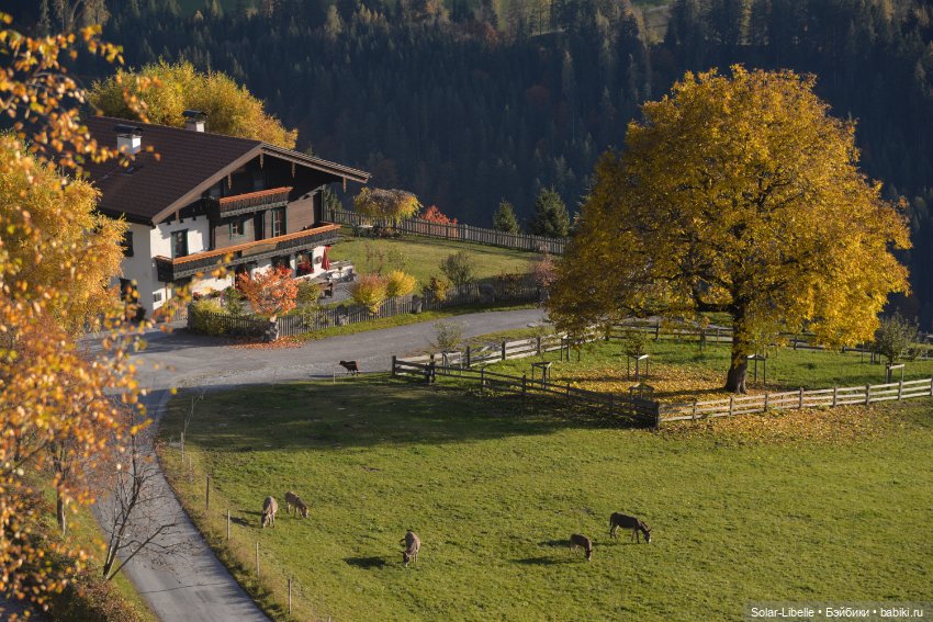 Осенние каникулы с куколкой Ruby Red
