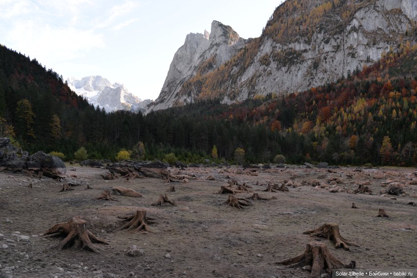 Осенние каникулы с куколкой Ruby Red