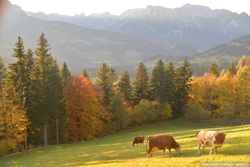 Осенние каникулы с куколкой Ruby Red (фото 6)