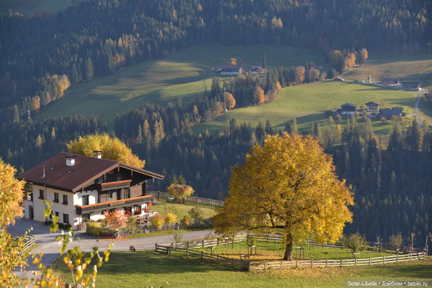 Осенние каникулы с куколкой Ruby Red (фото 2)
