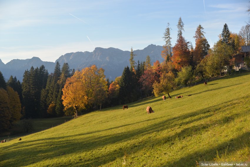 Осенние каникулы с куколкой Ruby Red