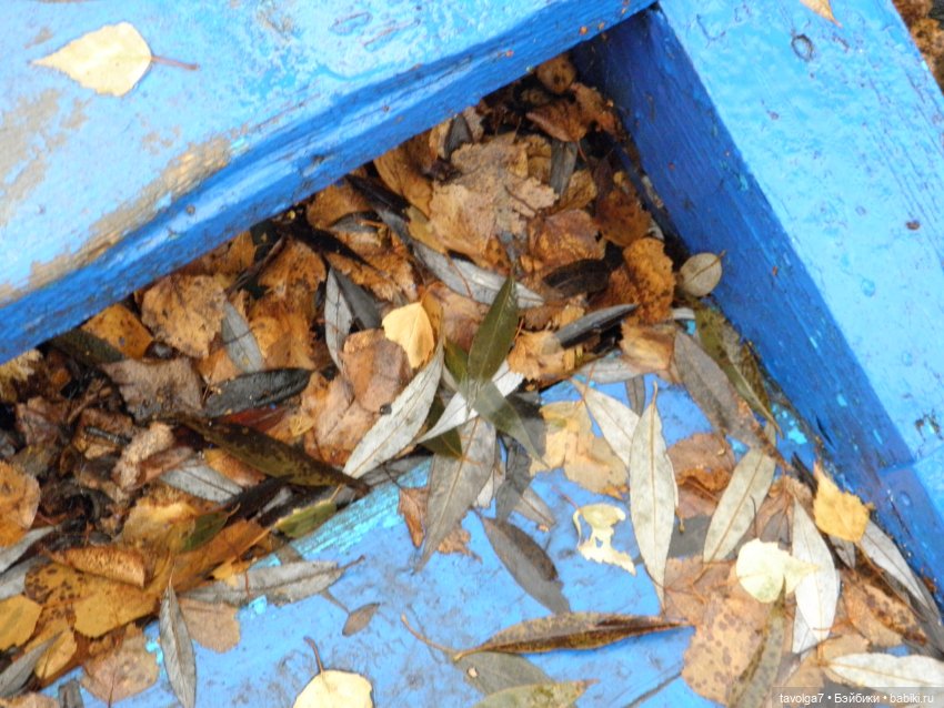 Плёс, ноябрь и моя любимая BJD