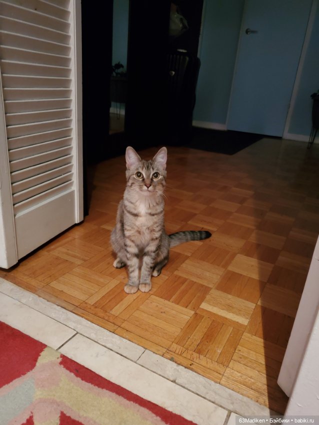 Если с другом вышел в путь (фото 6)