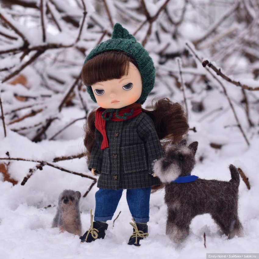 Настроение: зима — Домашние коллекции кукол: фото собраний