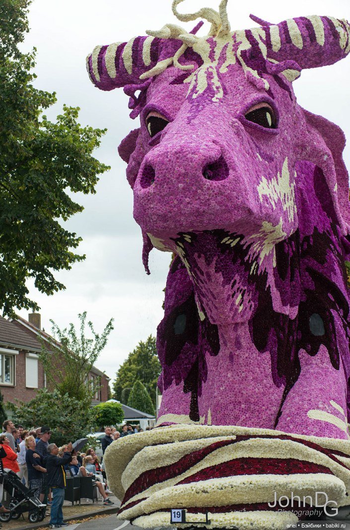 Цветочный парад, посвященный Ван Гогу (фото 3)