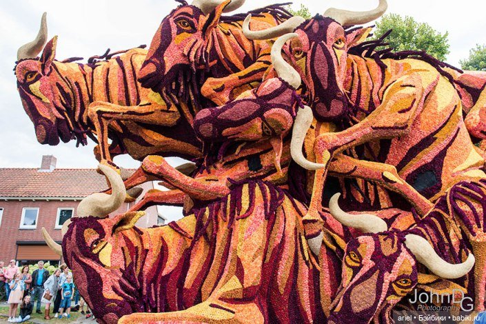 Цветочный парад, посвященный Ван Гогу (фото 2)