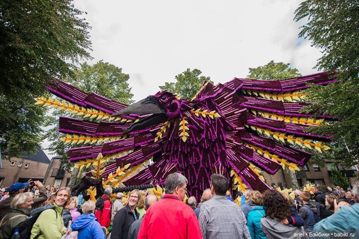 Цветочный парад, посвященный Ван Гогу (фото 5)