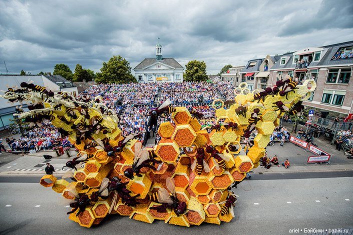 Цветочный парад, посвященный Ван Гогу (фото 9)