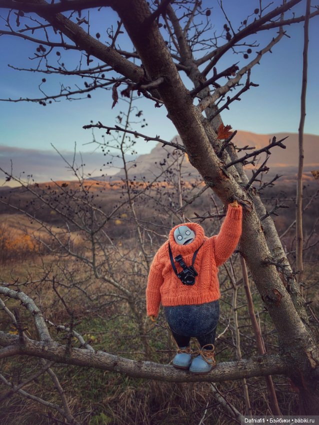 Бегемот и осень — Коллекционные экшн