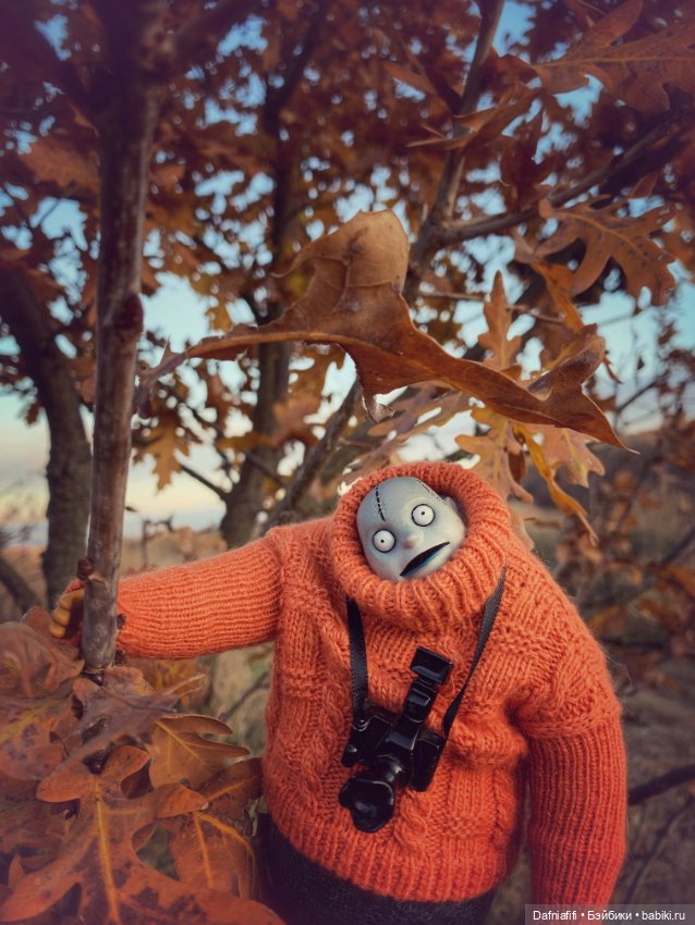 Бегемот и осень — Коллекционные экшн