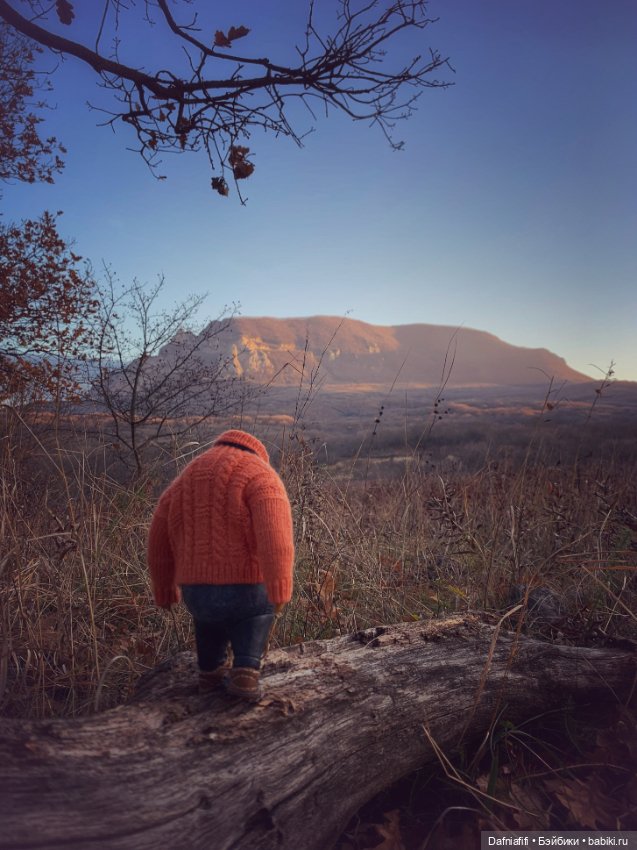 Бегемот и осень — Коллекционные экшн (фото 7)