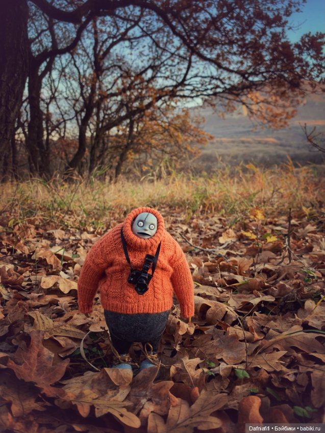 Бегемот и осень — Коллекционные экшн