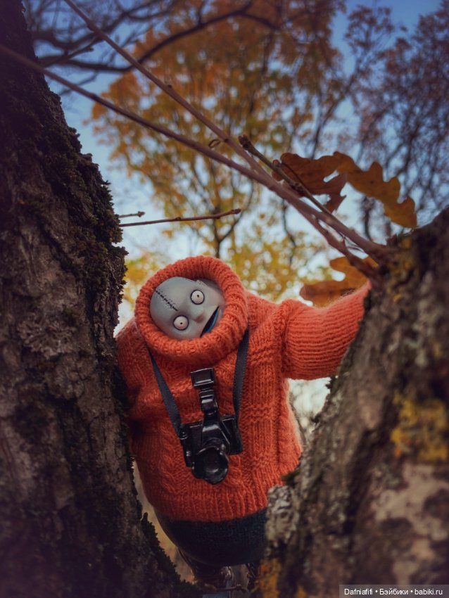 Бегемот и осень — Коллекционные экшн