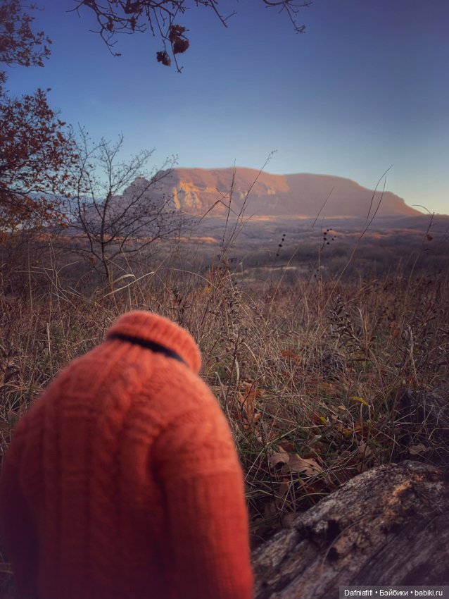 Бегемот и осень — Коллекционные экшн (фото 8)