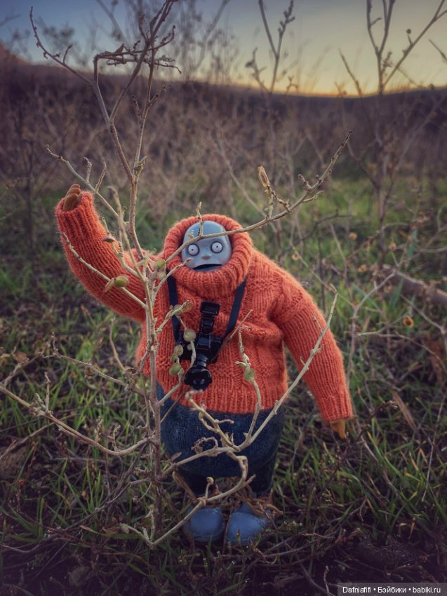 Бегемот и осень — Коллекционные экшн