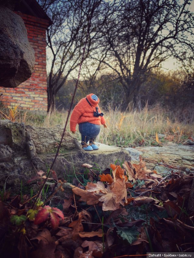 Бегемот и осень — Коллекционные экшн (фото 6)