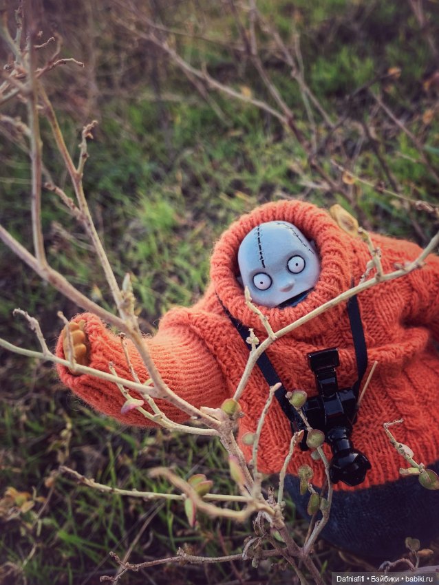 Бегемот и осень — Коллекционные экшн