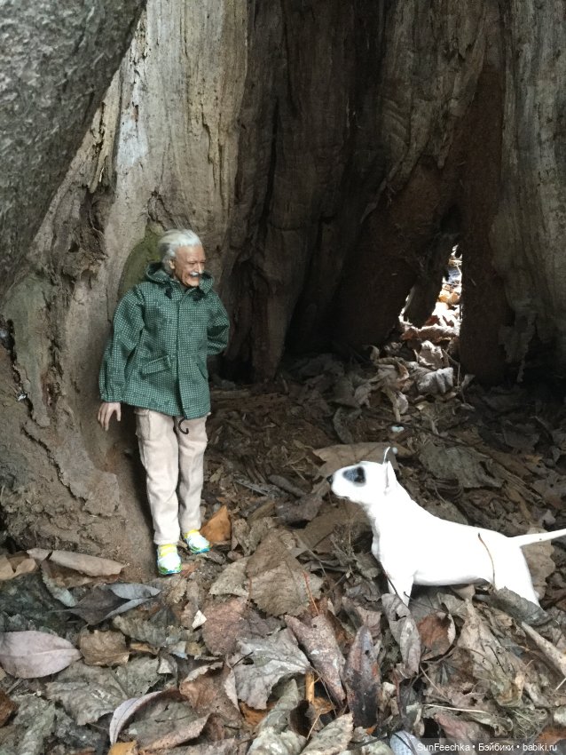 Новый образ Матвея Сергеевича (фото 8)