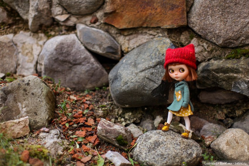 Здесь водятся лисы — Болталка и разговоры обо всем: жизнь (фото 3)