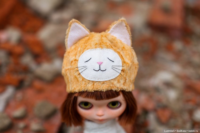 Солнечный кот — Болталка и разговоры обо всем: жизнь (фото 2)