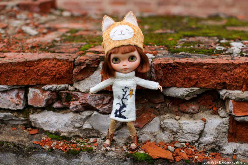 Солнечный кот — Болталка и разговоры обо всем: жизнь (фото 6)