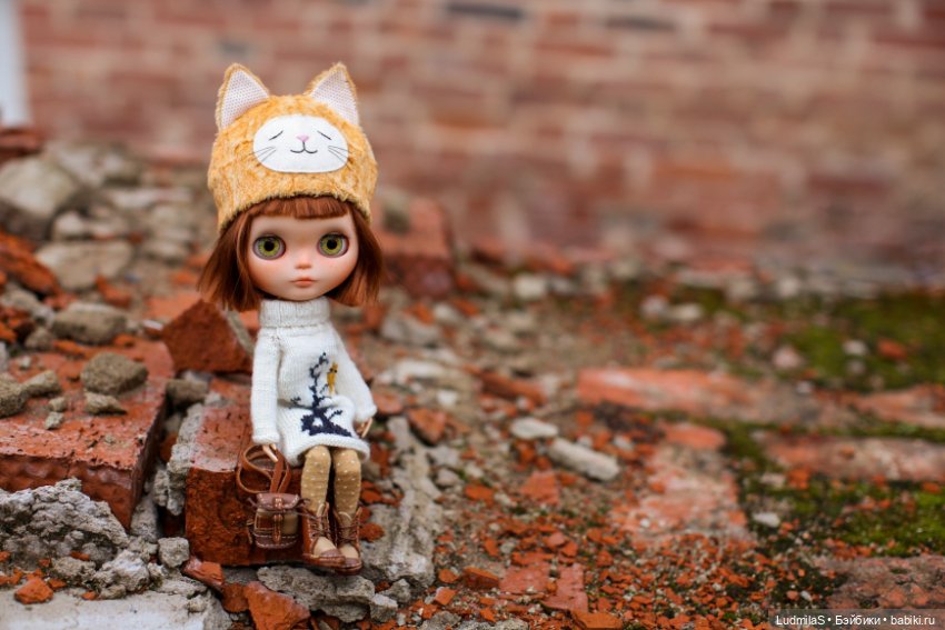 Солнечный кот — Болталка и разговоры обо всем: жизнь (фото 3)