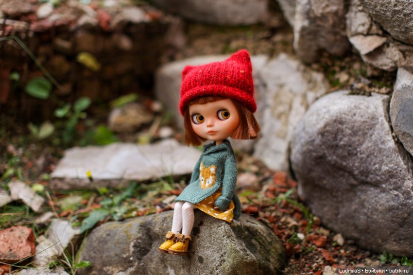 Здесь водятся лисы — Болталка и разговоры обо всем: жизнь (фото 5)